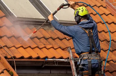 Démoussage et hydrofuge de toiture à Grives